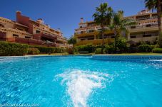 Apartamento em Ayamonte - BIS001Modern Bright Duplex Apartment